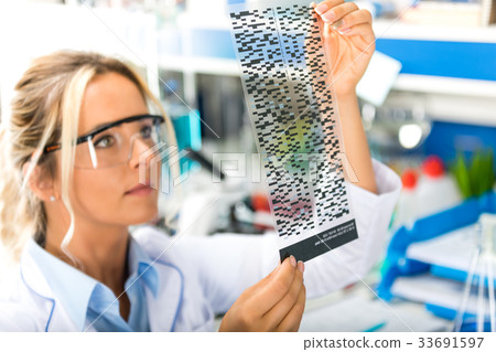 Female scientist examining DNA autoradiogram 33691597
