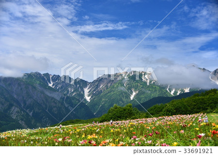 百合花田和其餘的北阿爾卑斯山脈 33691921