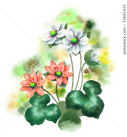 White and Pink Snowy Grass 33691933