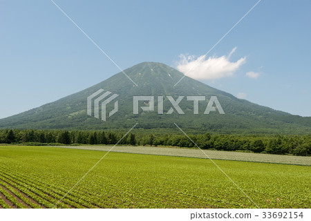 羊蹄山 33692154
