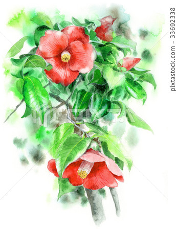 Red rafter - Stock Illustration [33692338] - PIXTA