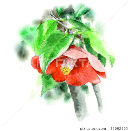 Red rafter - Stock Illustration [33692363] - PIXTA
