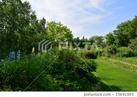 農場花園 農場花園 33692865