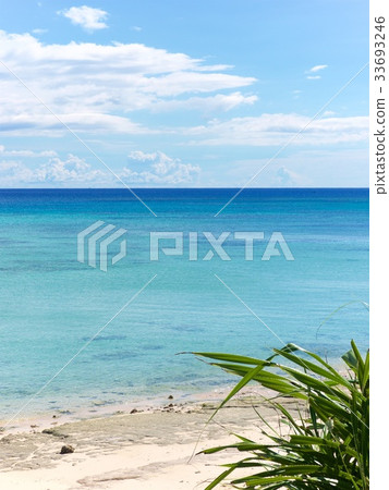 Okinawa Iejima GI Beach 33693246