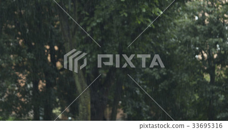 summer rain with blurred trees on background 33695316