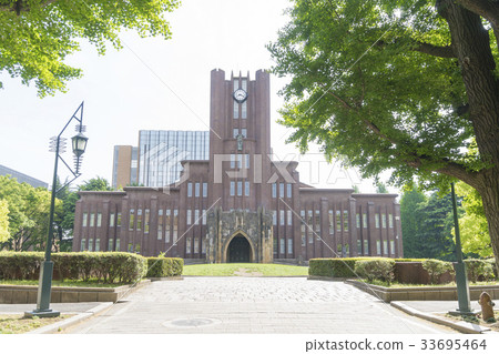 東京大學安田禮堂Spring Ginkgo Namiki 東京大學安田禮堂Spring Ginkgo Namiki 33695464