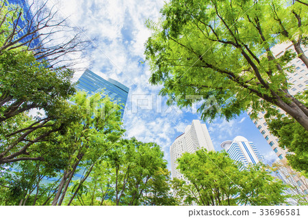 High-rise building in the office area and green 33696581