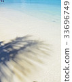 Guam palm tree shadow 33696749