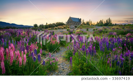 Church of the Good Shepherd, Tekapo, New Zealand 33697419