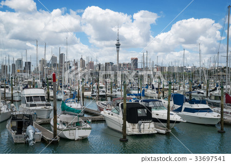 Yacht at Harbour in Auckland, New Zealand 33697541