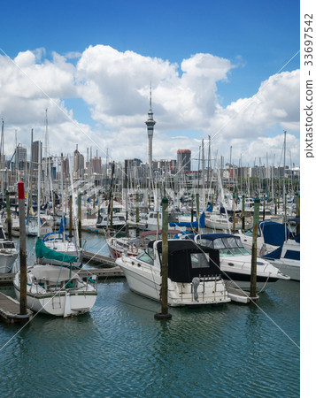 Yacht at Harbour in Auckland, New Zealand 33697542