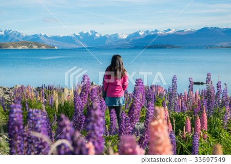 Tourist woman at lake Tekapo, New Zealand Tourist woman at lake Tekapo, New Zealand 33697549