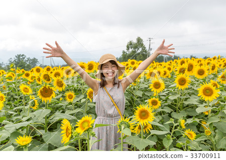 向日葵領域和婦女 向日葵領域和婦女 33700911