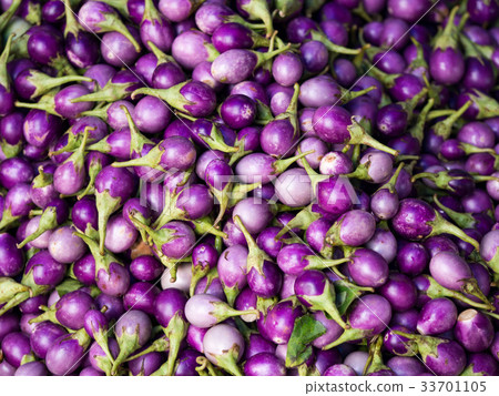 Round fresh organic raw purple brinjal or eggplant 33701105