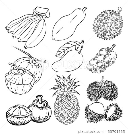 Hand drawn set of different tropical fruits Hand drawn set of different tropical fruits 33701335