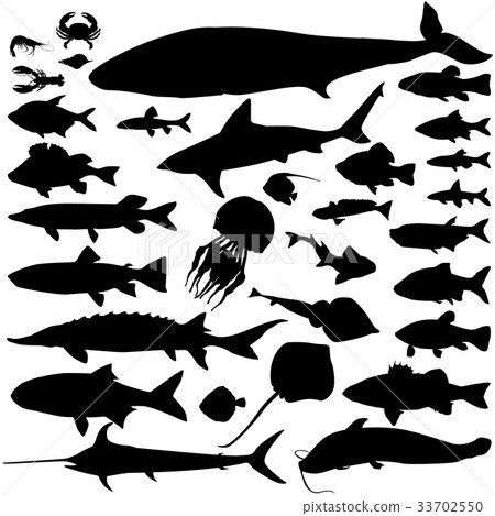Fish food set. Seafood icons. Underwateer wildlife 33702550