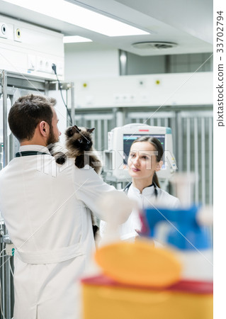 Veterinarians in Intensive Care Unit of pet clinic Veterinarians in Intensive Care Unit of pet clinic 33702794