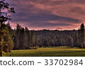 Sequoia Meadow 33702984