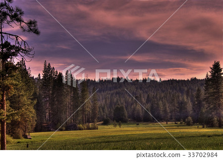 Sequoia Meadow 33702984