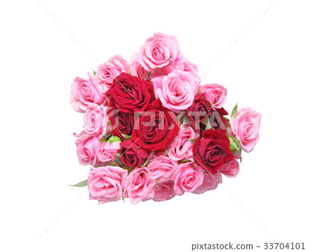 一束玫瑰 33704101