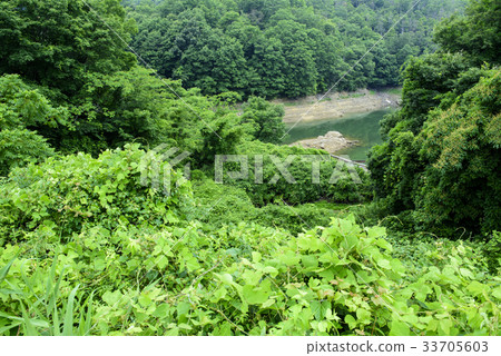 嘔吐壩（兵庫縣三木市） 33705603