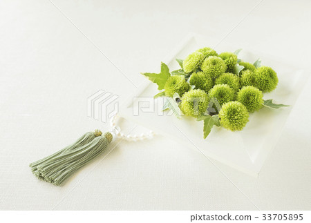 噴灑媽媽和珍珠珠 噴灑媽媽和珍珠珠 33705895