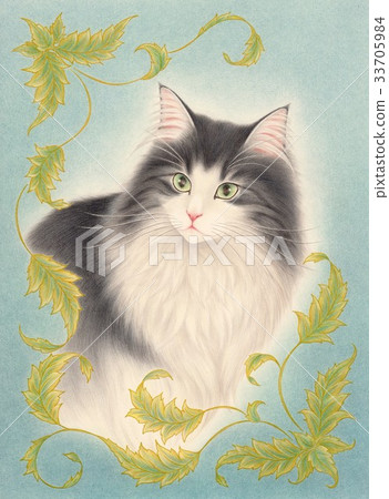 Norwegian Boy 33705984