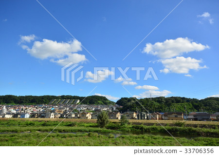 Hachioji City in the Asakawa Summer 33706356