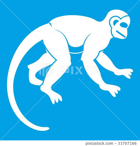 Capuchin monkey icon white - Stock Illustration [33707166] - PIXTA