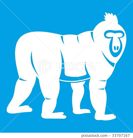 Mandrill monkey icon white Mandrill monkey icon white 33707167