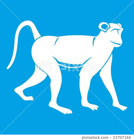 Monkey icon white Monkey icon white 33707168