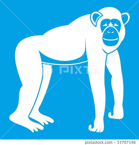Chimpanzee icon white 33707198