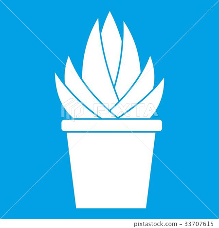 Aloe vera plant icon white Aloe vera plant icon white 33707615