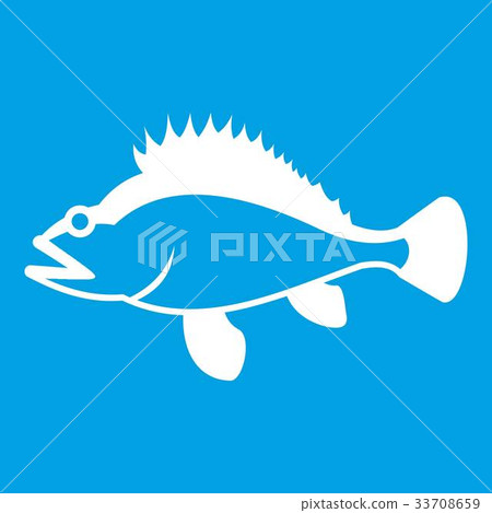 Rose fish, Sebastes norvegicus icon white 33708659