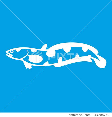 Anarhichas fish icon white Anarhichas fish icon white 33708749
