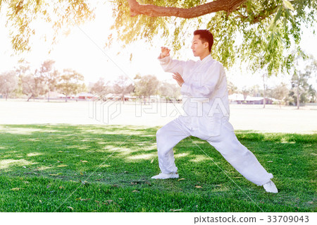 Handsome man practicing thai chi Handsome man practicing thai chi 33709043