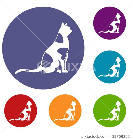 Sitting cat icons set 33709293