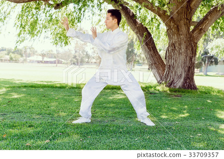 Handsome man practicing thai chi 33709357