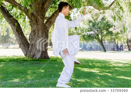 Handsome man practicing thai chi 33709360