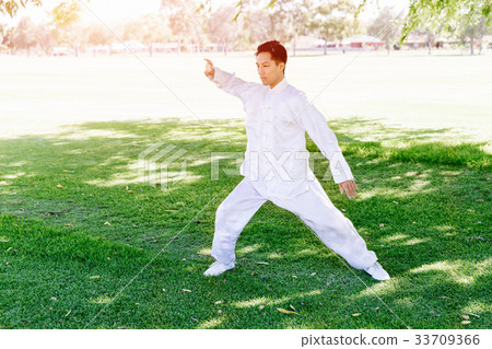 Handsome man practicing thai chi 33709366