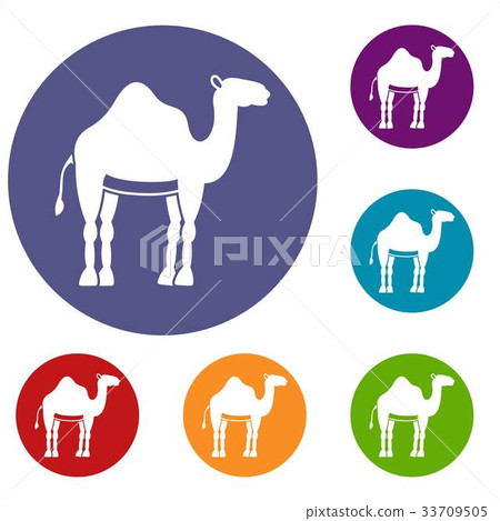 Camel icons set 33709505