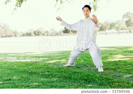Handsome man practicing thai chi 33709506