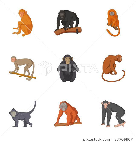 Species of chimpanzee icons set, cartoon style Species of chimpanzee icons set, cartoon style 33709907