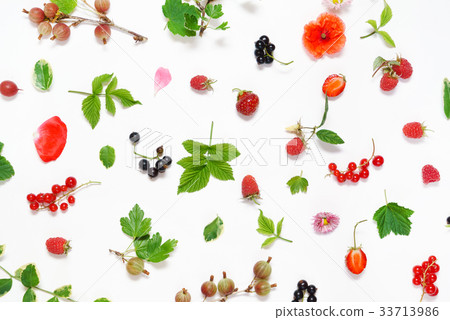 summer concept 33713986