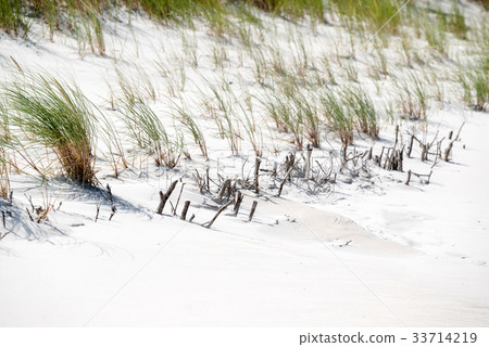 Baltic sea 33714219