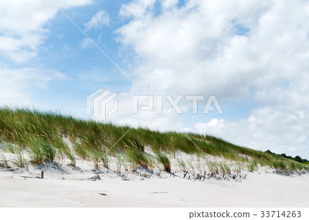 Baltic sea 33714263