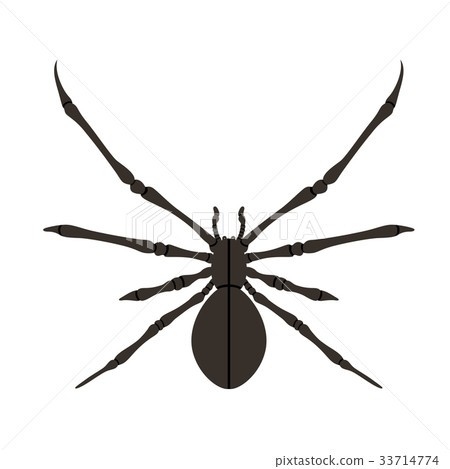Spider silhouette in black. 33714774