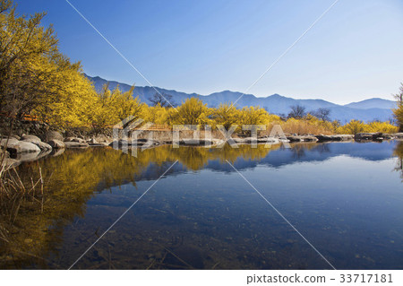 Mountain oil, Shandong, Gurye-gun, Jeonnam Mountain oil, Shandong, Gurye-gun, Jeonnam 33717181