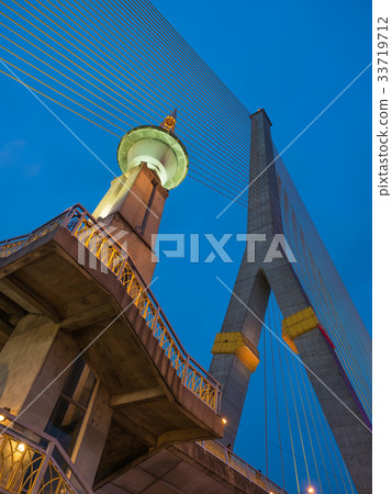 The Rama VIII Cable Bridge The Rama VIII Cable Bridge 33719712