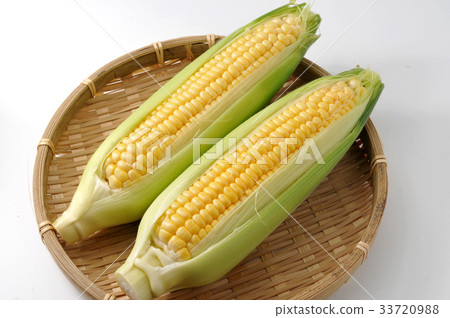 Corn 33720988